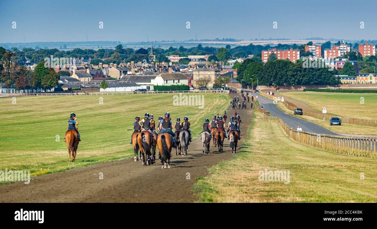 Newmarket, Suffolk, England, UK – View from Warren Hill looking down onto the town of Newmarket with a string of horses in the foreground Stock Photo