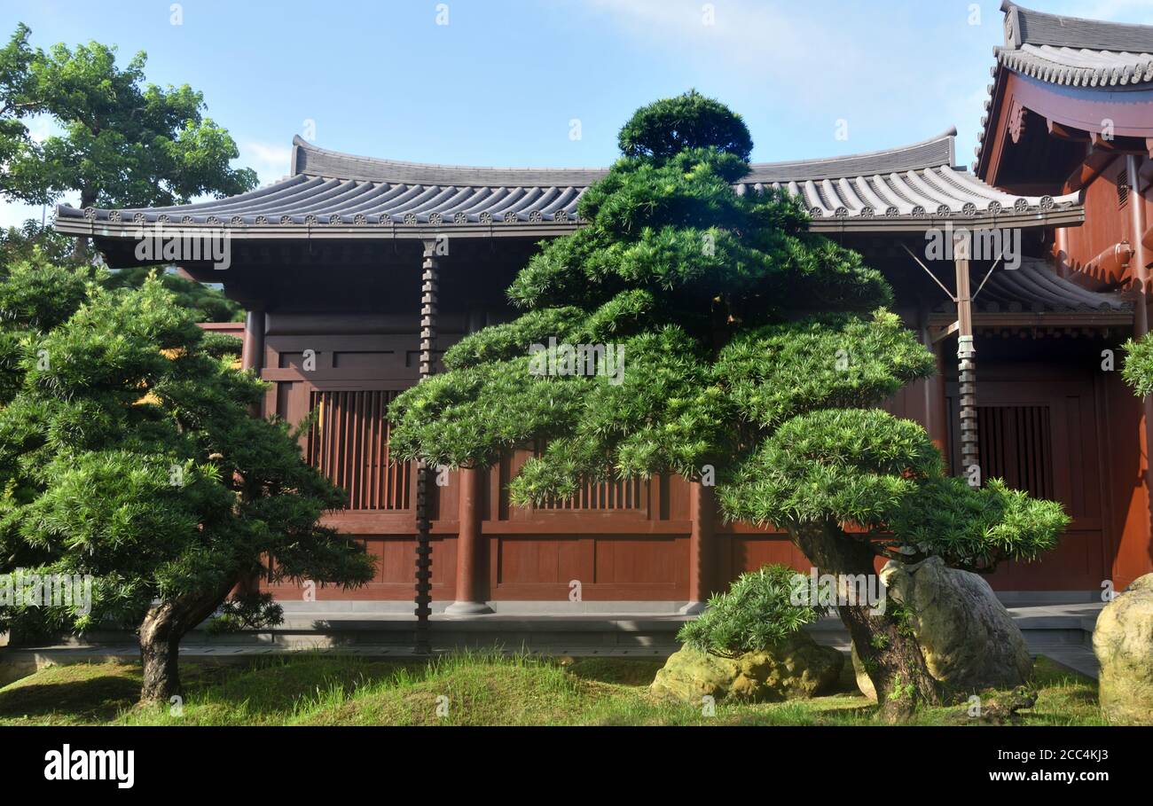 Tang dynasty style garden and wooden building Stock Photo