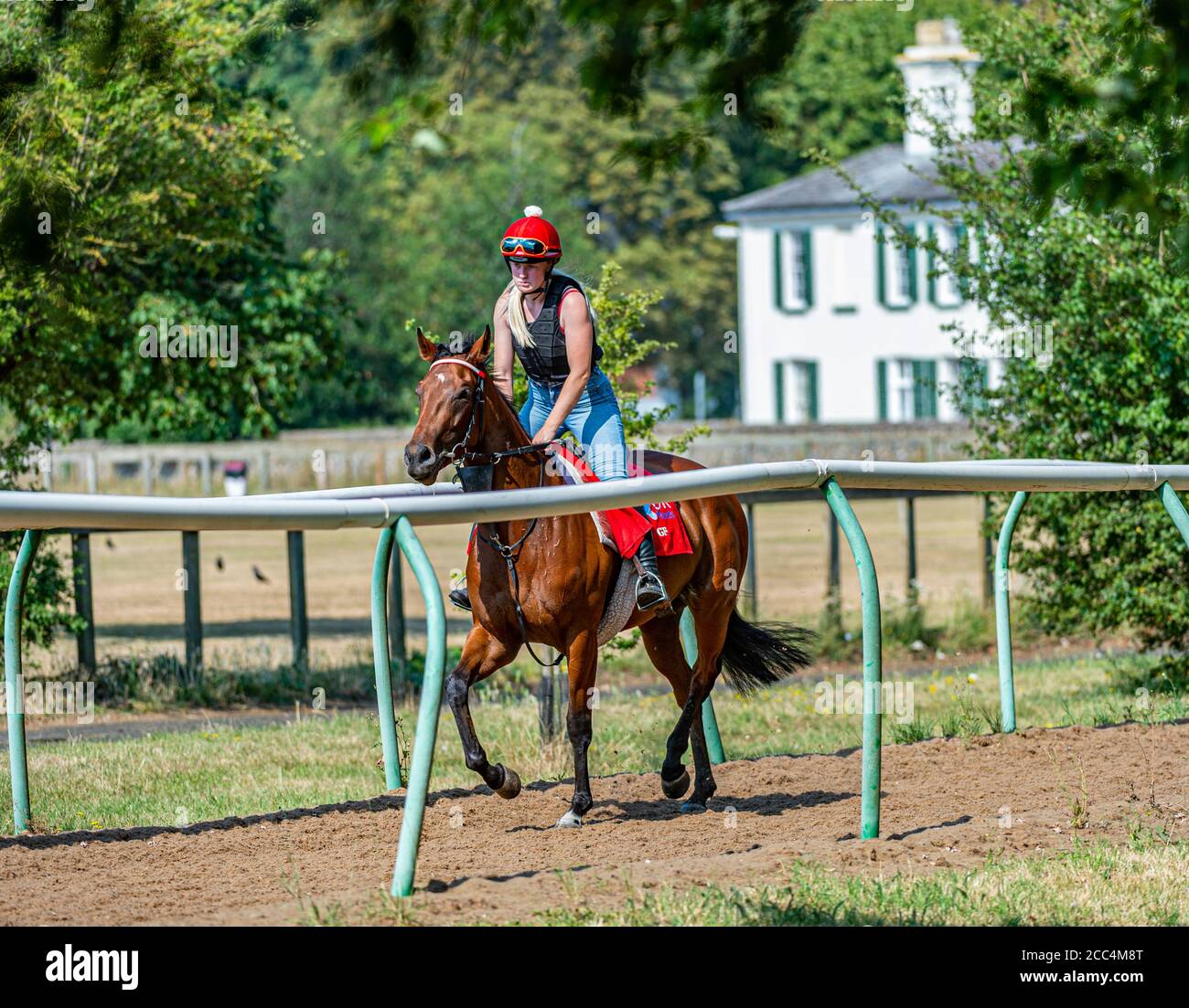 Horse Trainers High Resolution Stock Photography And Images Alamy