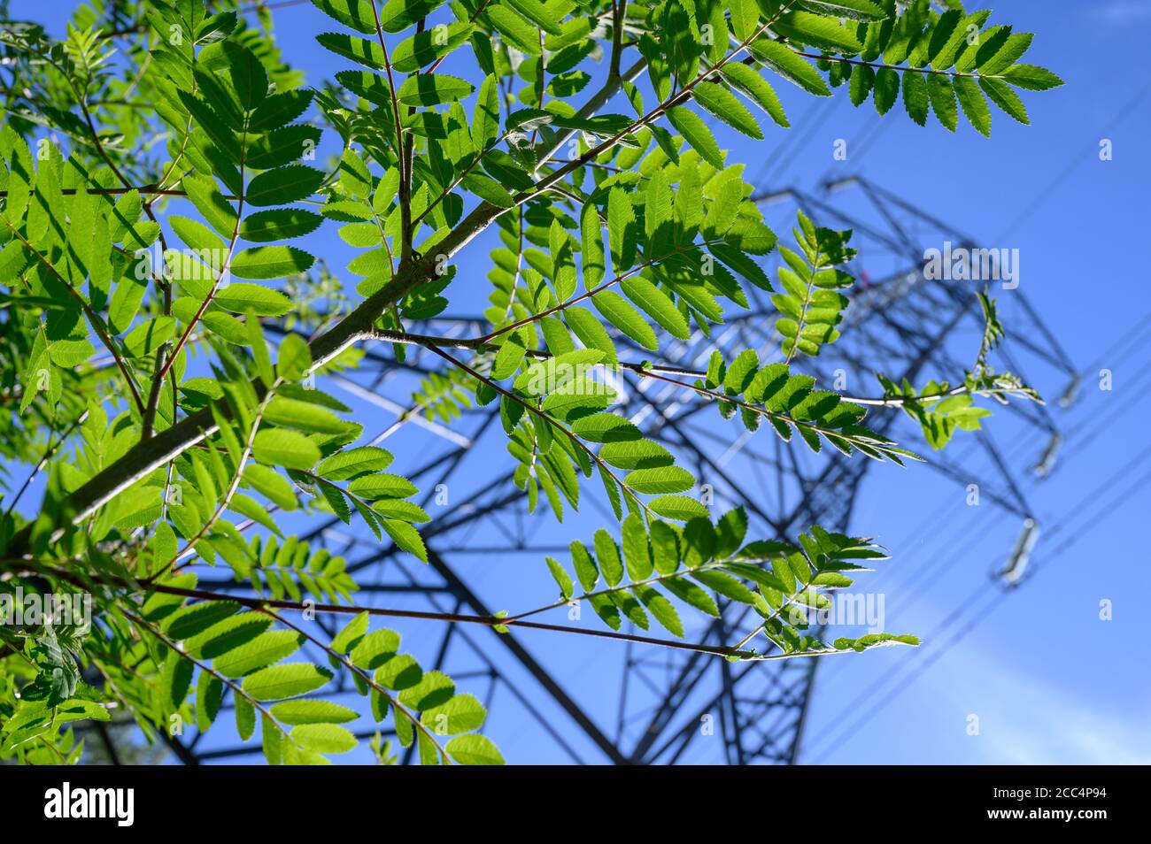 Wardley Pylons, Swinton, Manchester Stock Photo Alamy