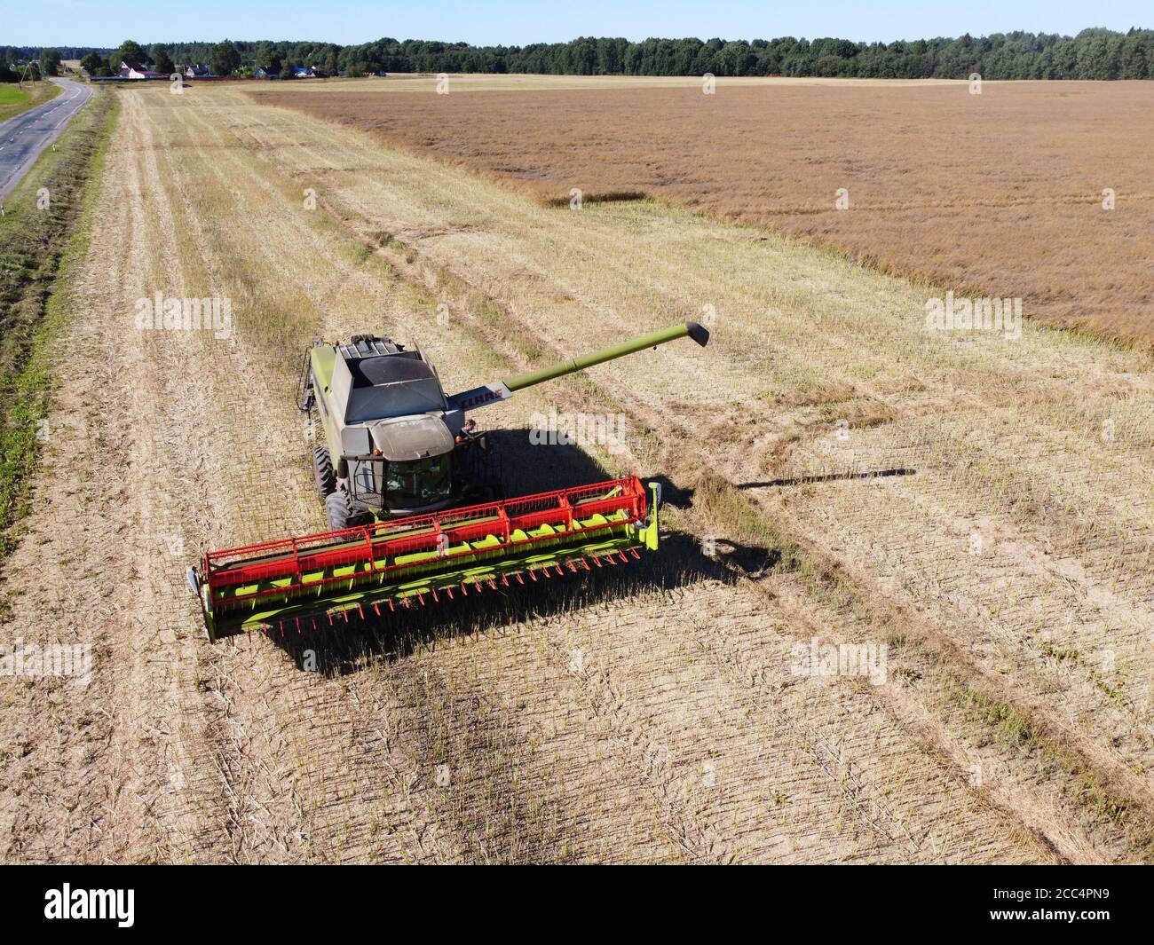 large harvester on a rapeseed field on a bright sunny day aerial photo Stock Photo