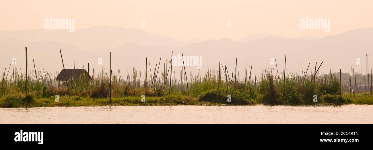 Panorama of floating gardens on Inle lake at sunet in Burma, Myanmar Stock Photo