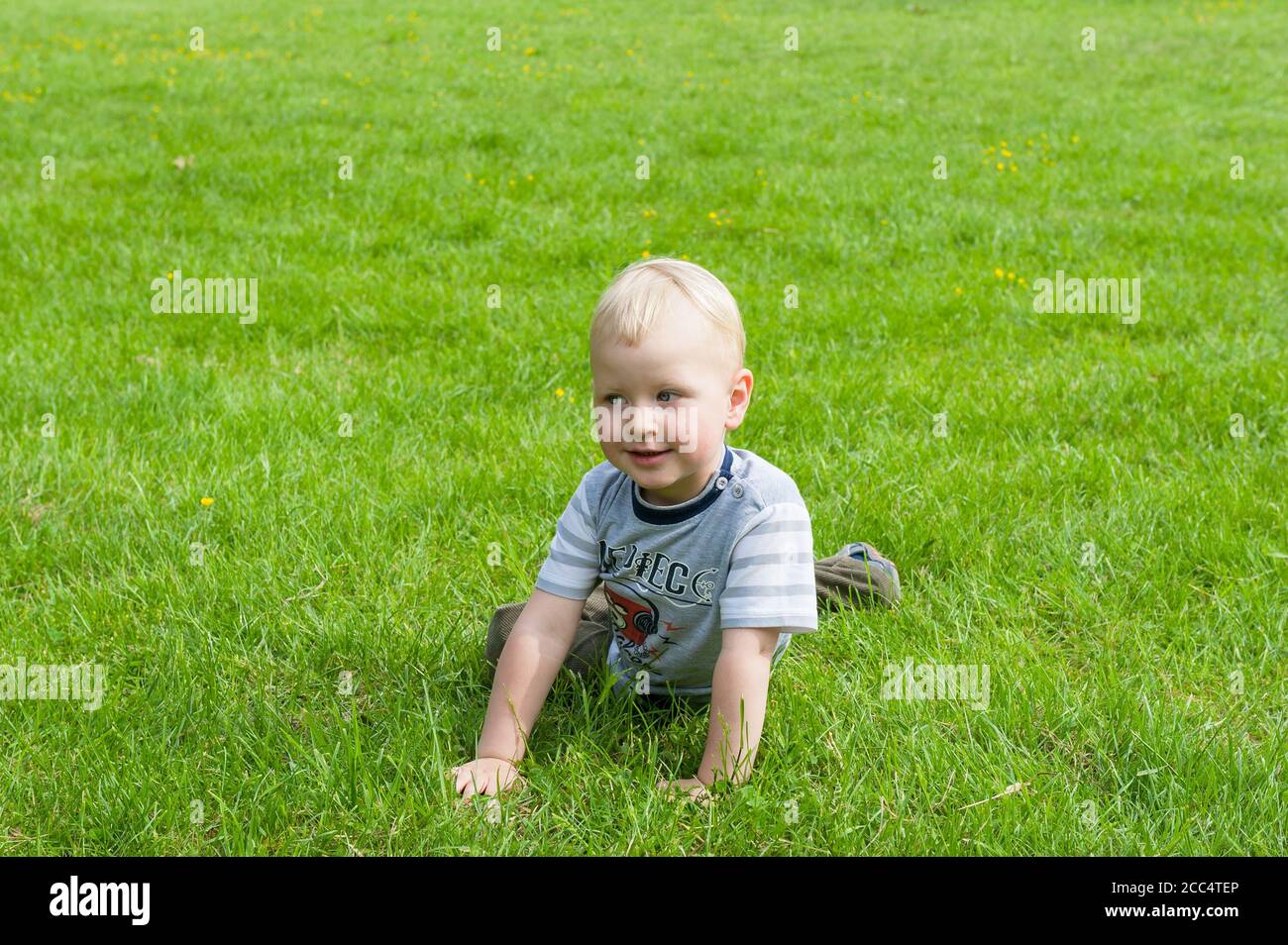 Two yeat old boy playing on a grass in Janowiec, Lublin Voivodeship, Poland Stock Photo