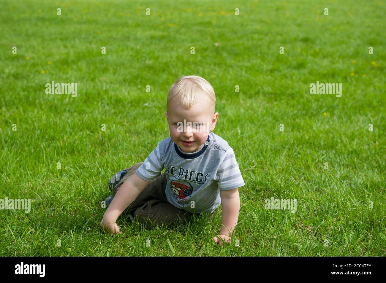 Two year old boy playing on a grass in Janowiec, Lublin Voivodeship, Poland Stock Photo