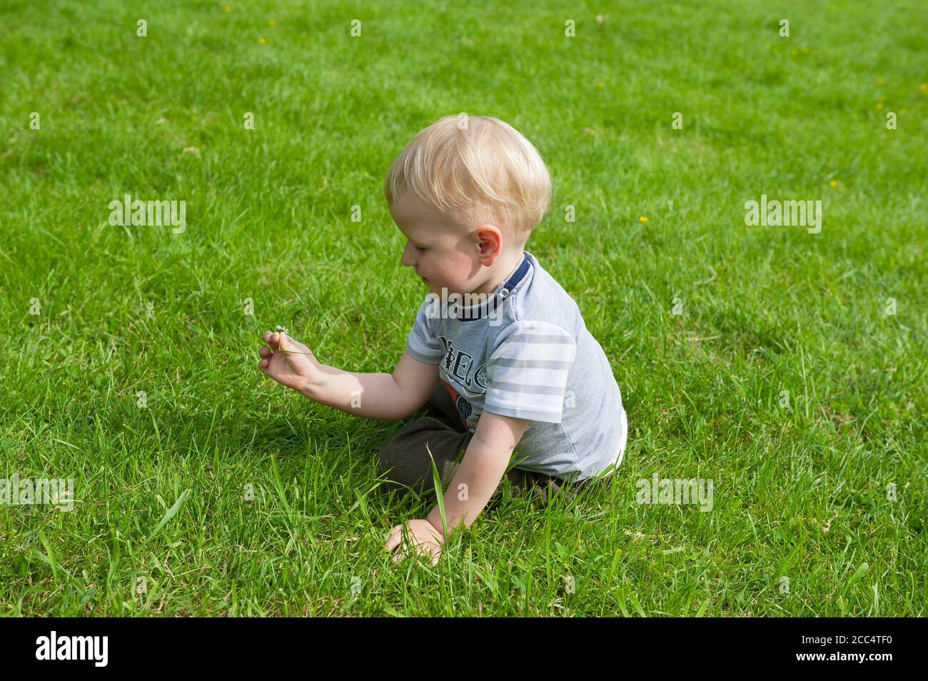 Two yeat old boy playing on a grass in Janowiec, Lublin Voivodeship, Poland Stock Photo