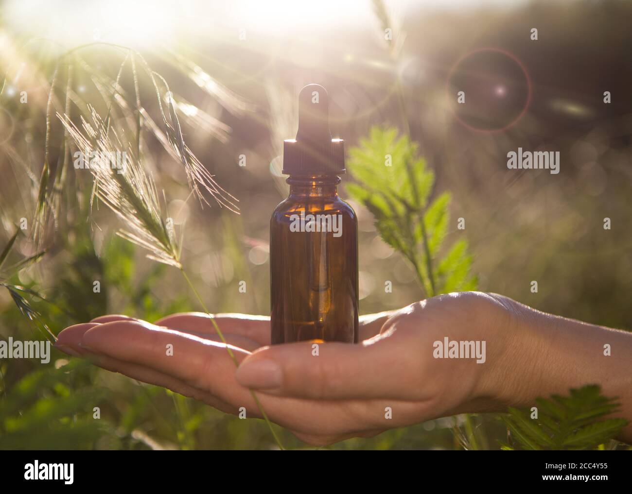 Oil care cosmetics in woman's hands. Stock Photo