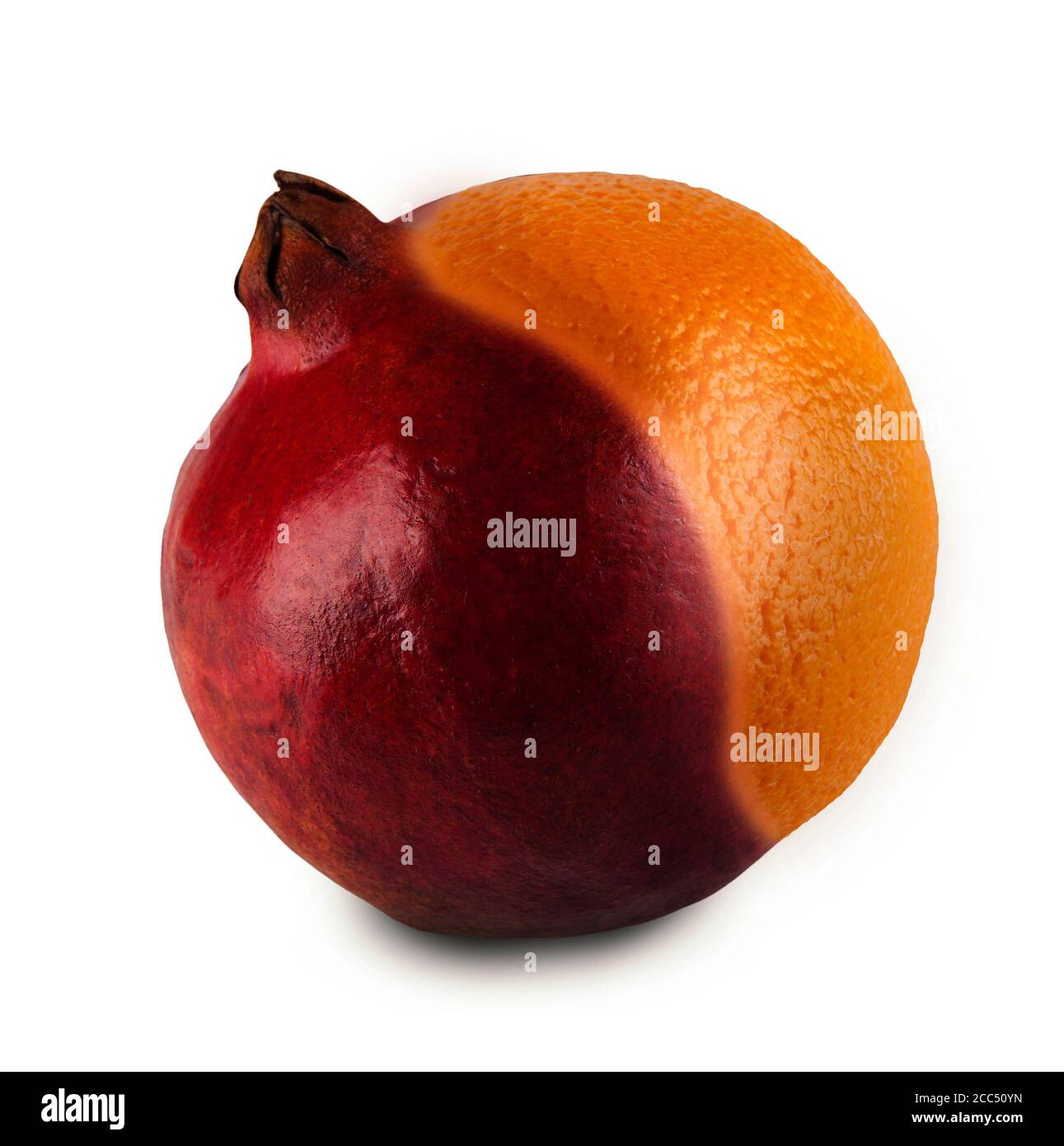 Genetically Modified Fruit