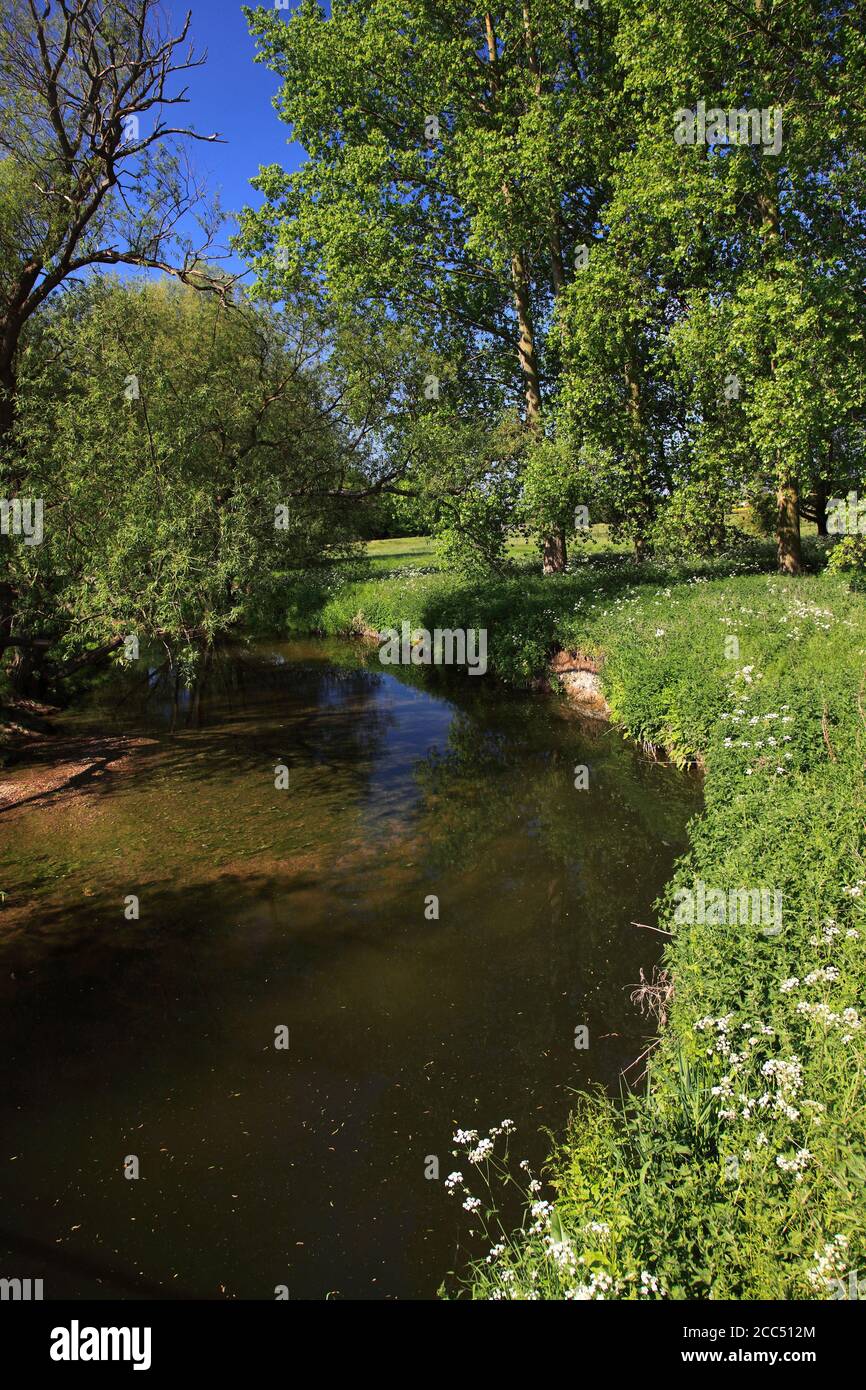 Summer view of the river Nene Valley near Castor village; Peterborough city; Cambridgeshire; England Stock Photo