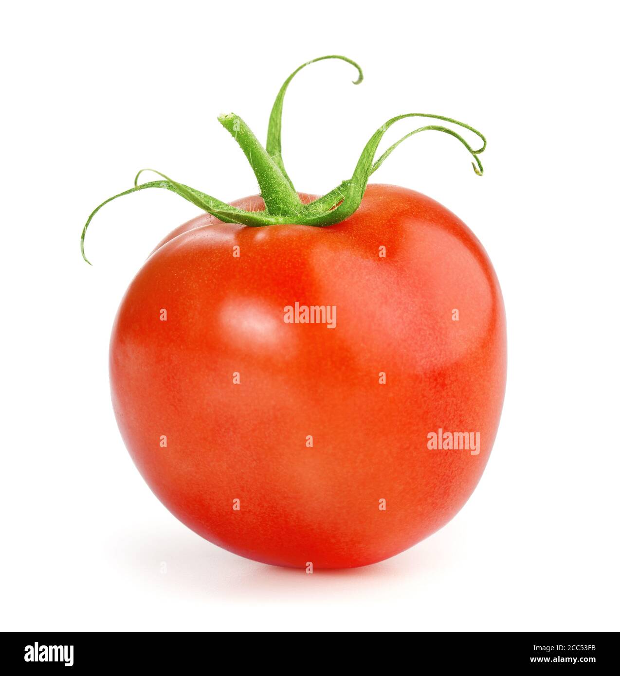 one ripe tomato isolated on white background Stock Photo