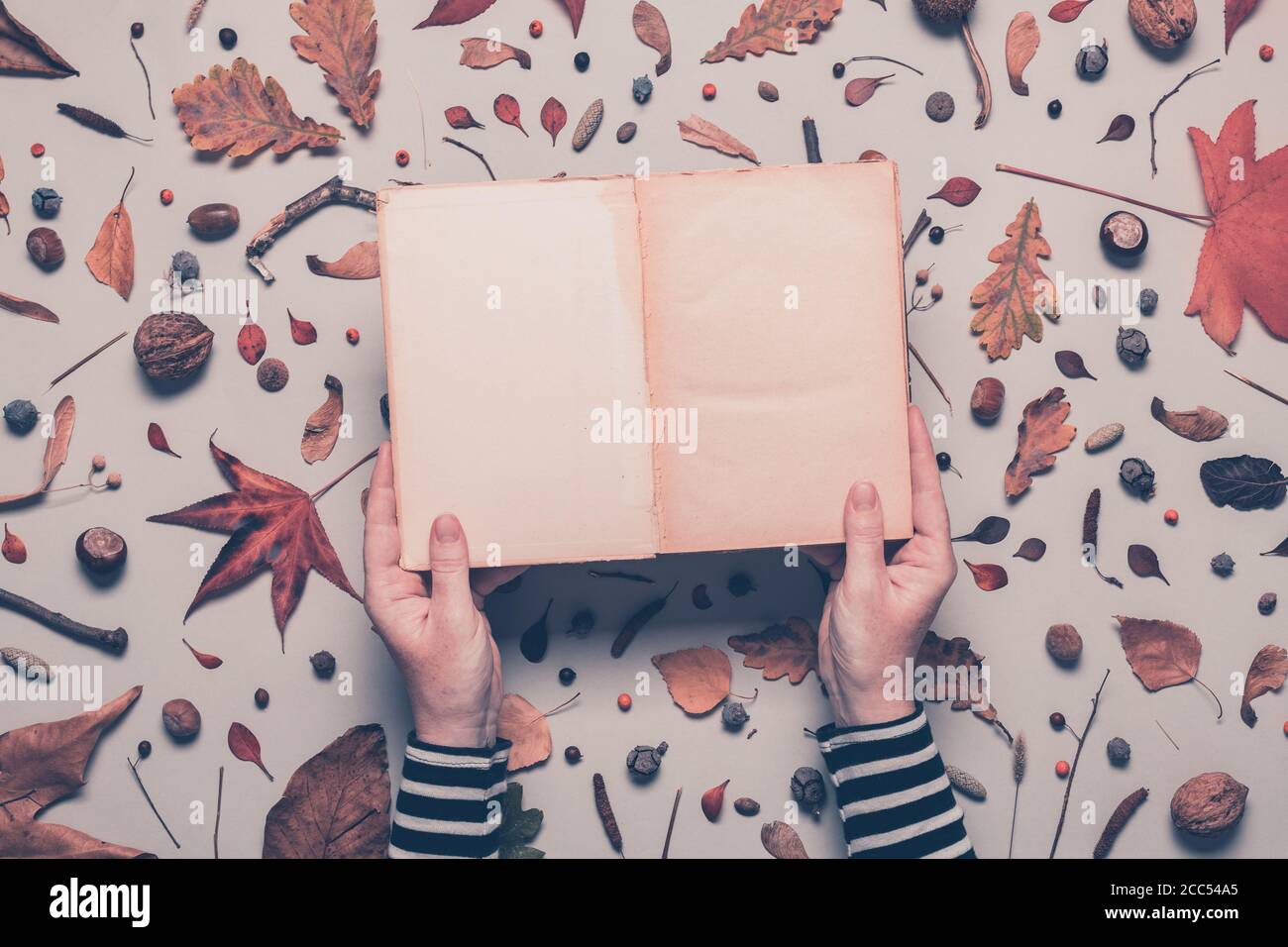 Woman holding blank book as mock up copy space, overhead shot with autumn decoration Stock Photo