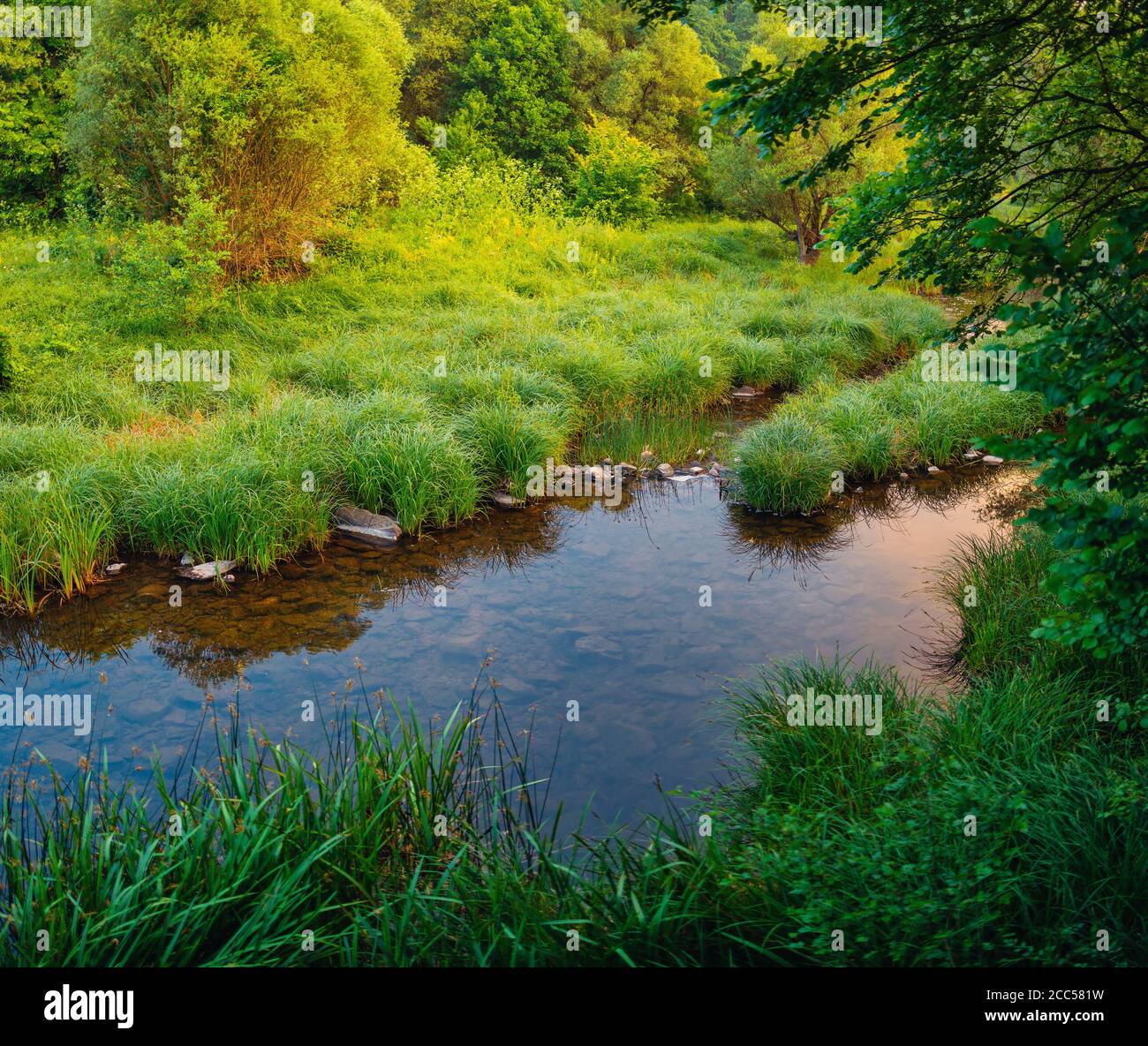 River in the forest. Nature background Stock Photo - Alamy