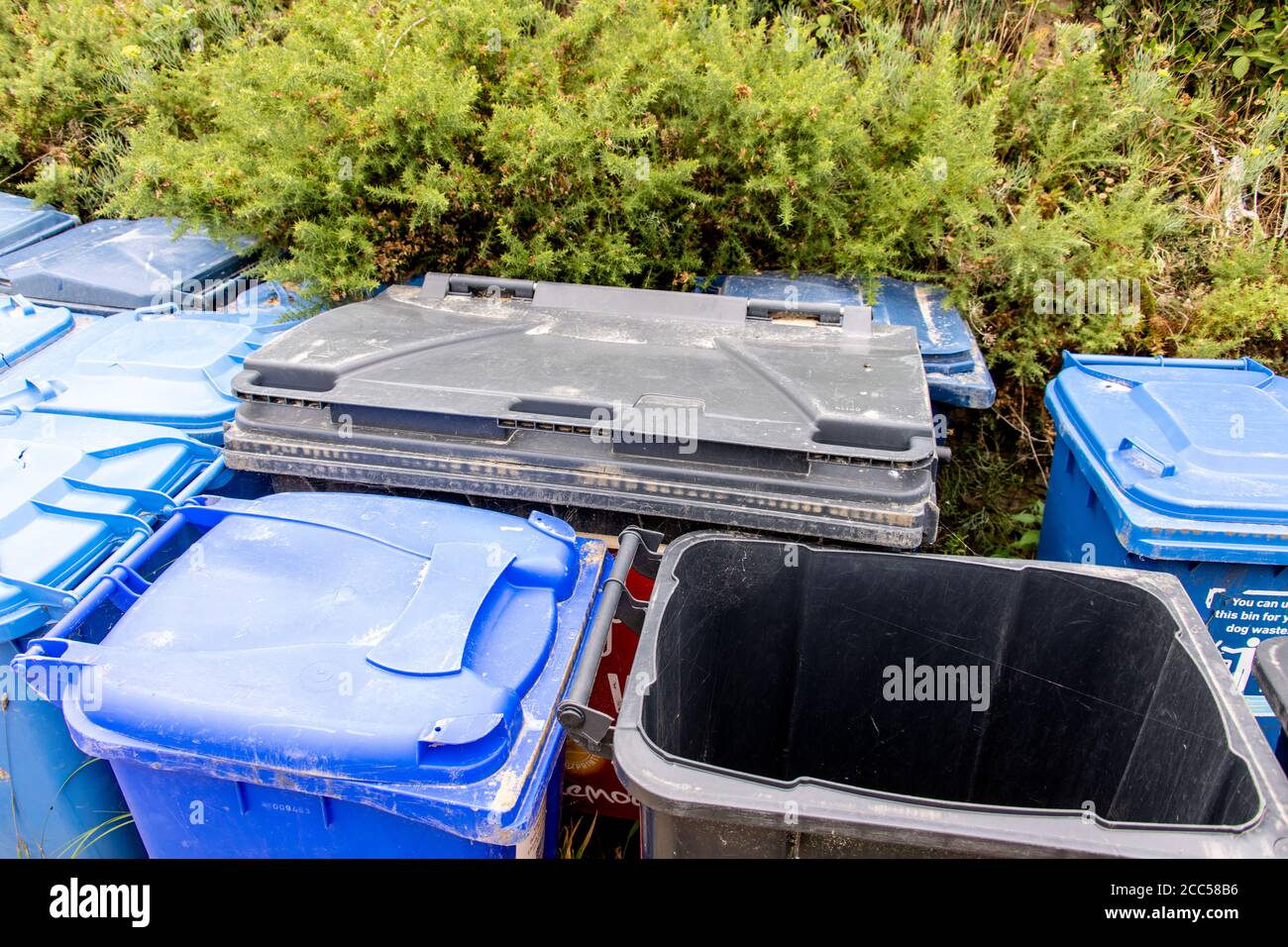 Plastic Pollution Blue wheelie bins. Bournemouth, UK Stock Photo Alamy