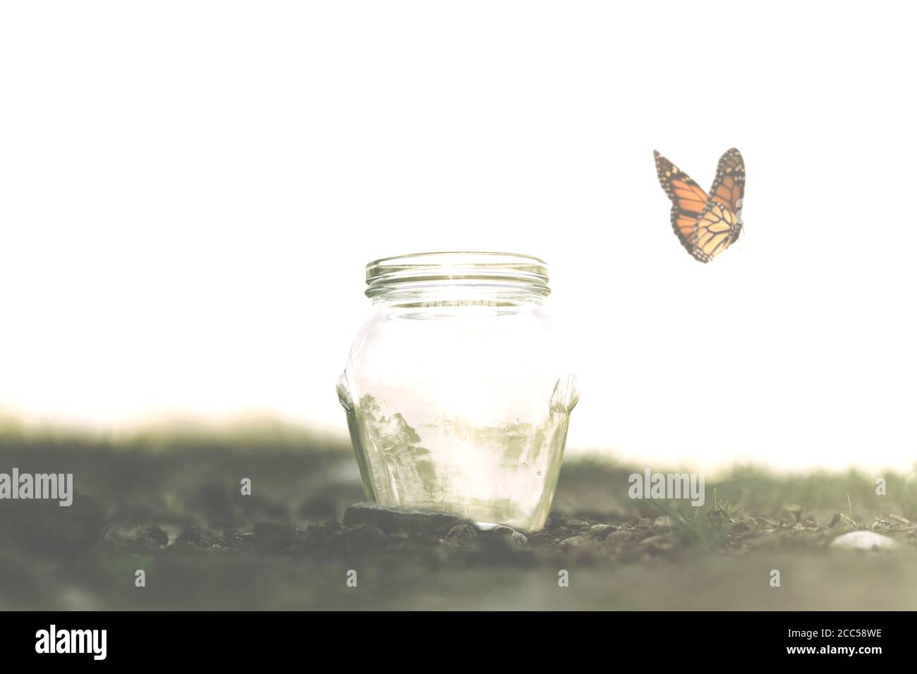 Butterfly Fly Away Karaoke