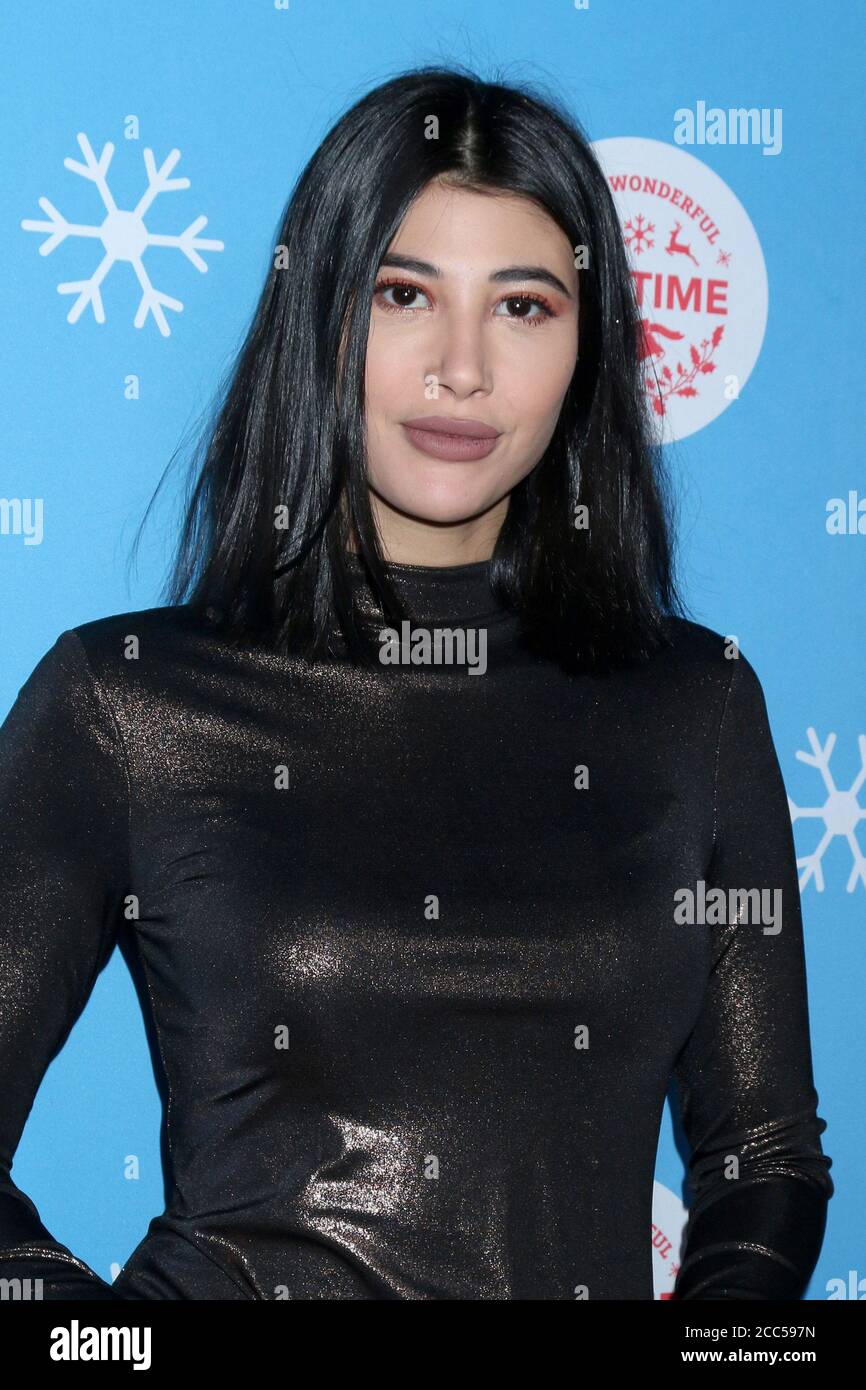 LOS ANGELES - NOV 14:  Abla Sofy at the It's A Wonderful Lifetime Red Carpet at the Grove on November 14, 2018 in Los Angeles, CA Stock Photo