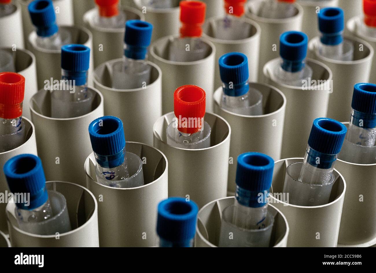Color coded vials in a research lab Stock Photo Alamy