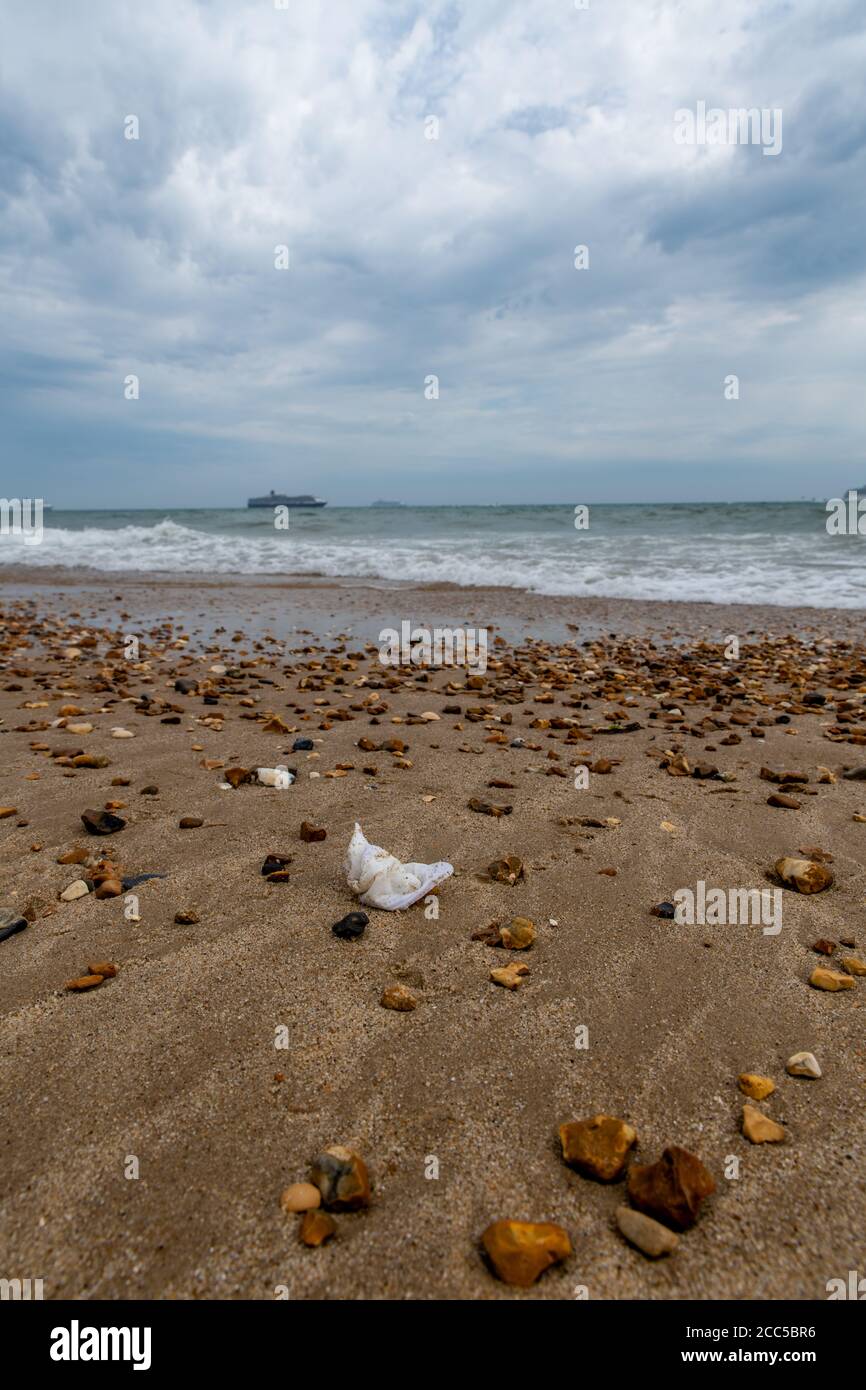 https://c8.alamy.com/comp/2CC5BR6/plastic-pollution-plastic-waste-left-by-tourists-on-the-beach-bournemouth-uk-2CC5BR6.jpg