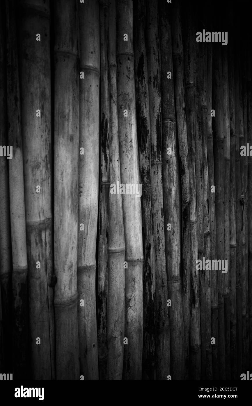 Traditional old vintage bamboo hut wall in black and white image Stock Photo
