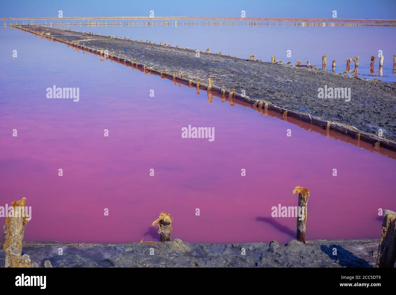 Salt, brine and mud of pink salty Sivash Lake near Azov Sea, colored by