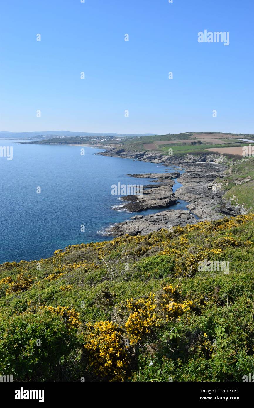 Cornish Coastline Stock Photo