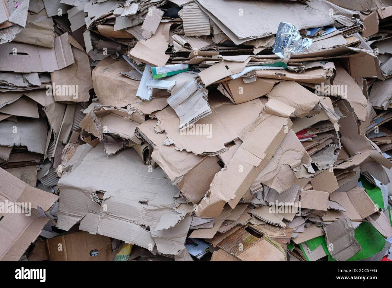 Paper urban trash for recycling. Cardboard and waste paper is collected and packaged for recycling. Stacked cardboard. Stock Photo