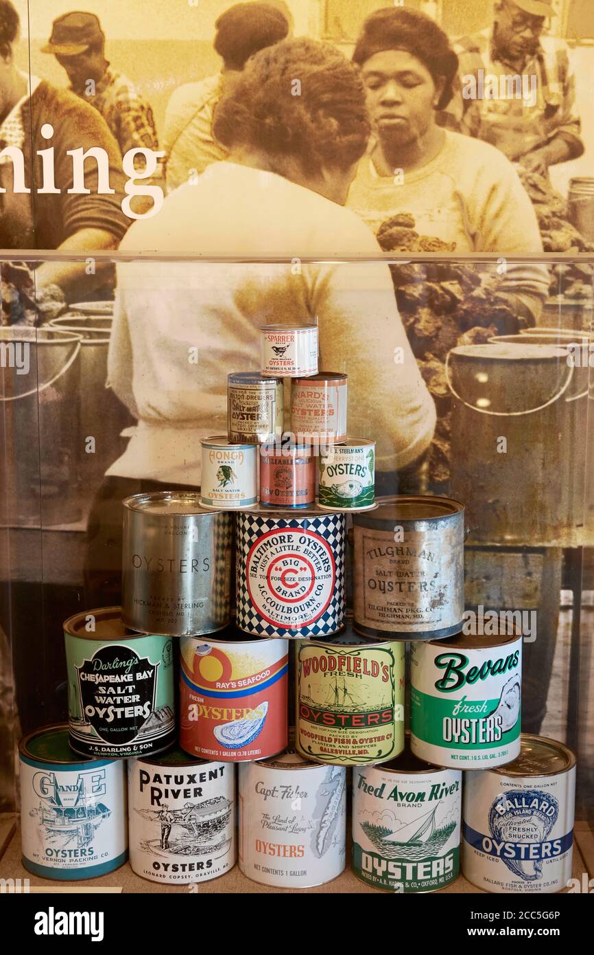 Display of stacked antique cans and sepia photo of women packing product give example of Chesapeake Bay Oyster industry in years gone by. CBMM Stock Photo