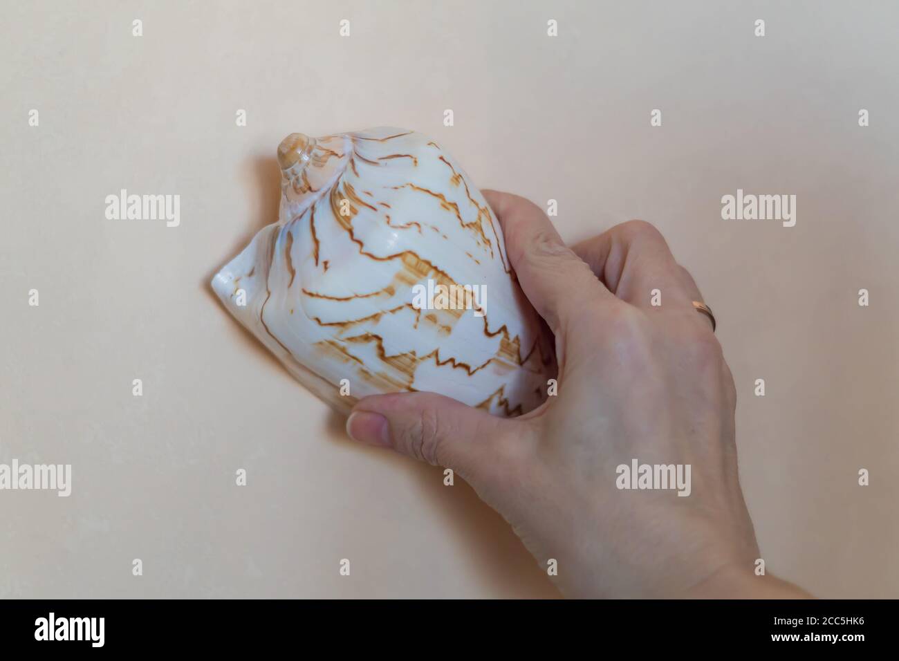 Seashell lady hi-res stock photography and images - Alamy