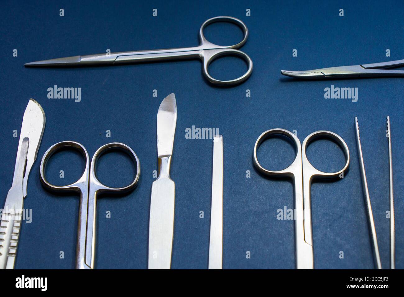 Dissection Kit - Premium Quality Stainless Steel Tools for Medical Students  of Anatomy, Biology, Veterinary, Marine Biology with Scalpel Blades Stock  Photo - Alamy