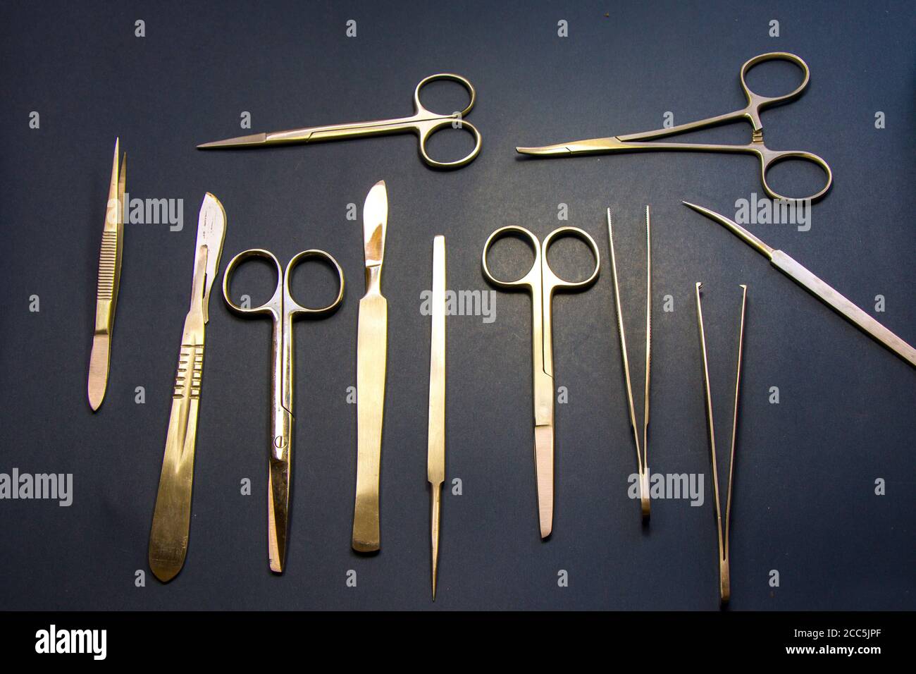 Marine Biologist Tools And Equipment