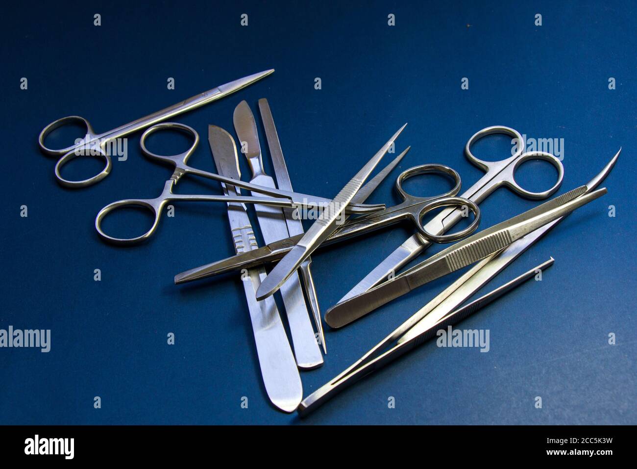 Science Lab Supplies 44-Piece Stainless Steel Biology Dissection Kit ...