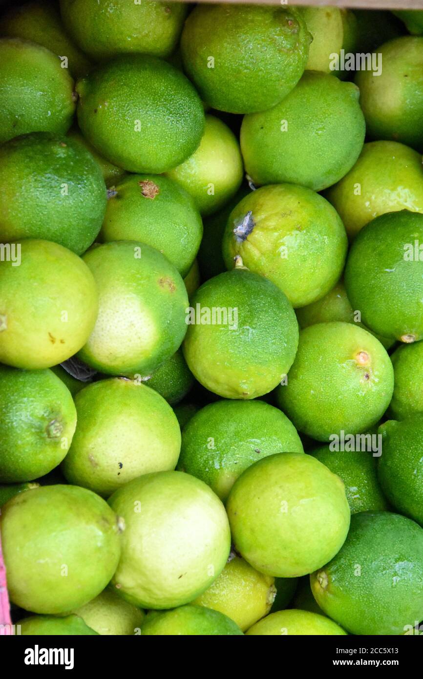 Boxed limes in a morning market Stock Photo