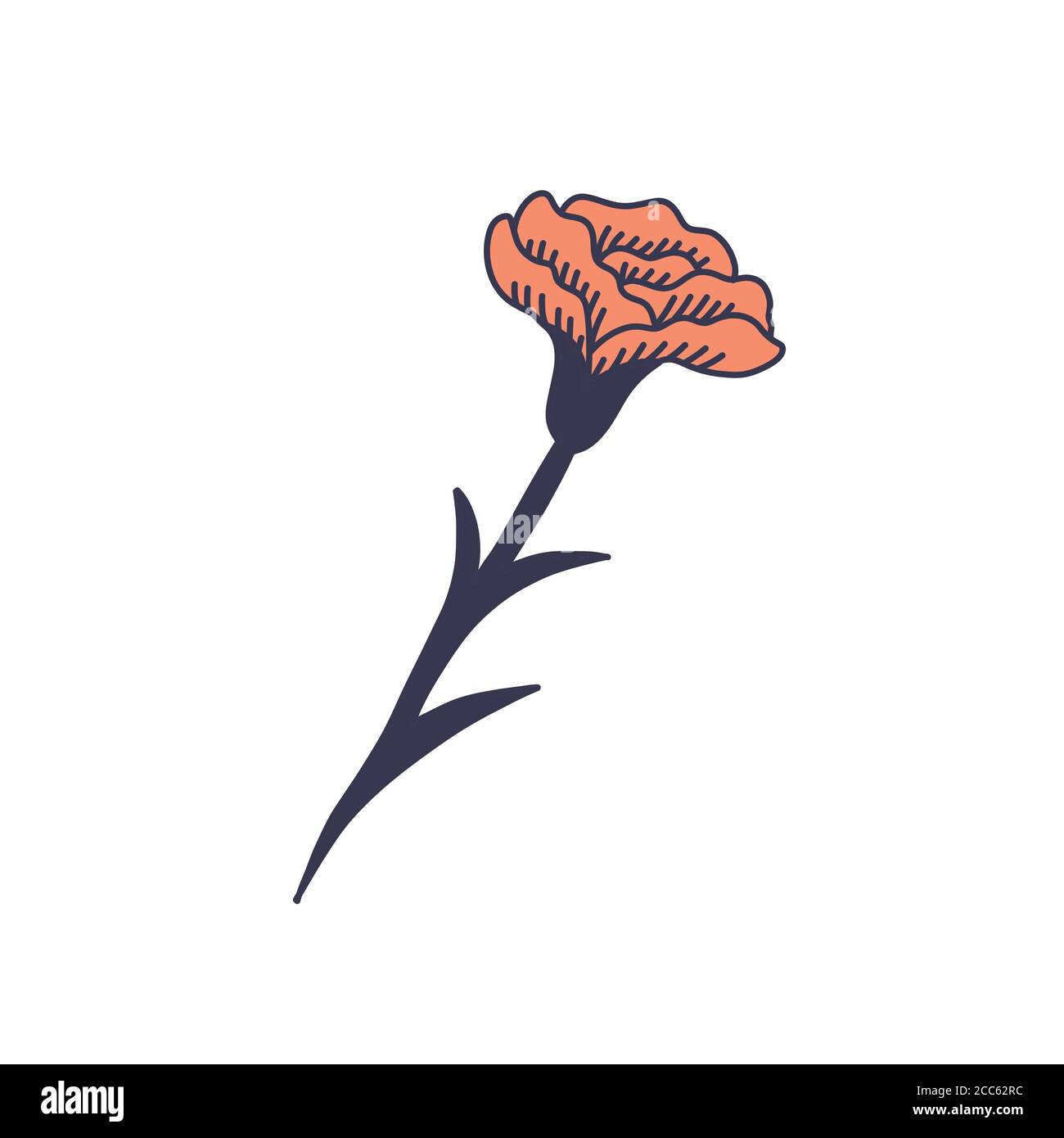carnation flower doodle icon, vector illustration Stock Vector Image