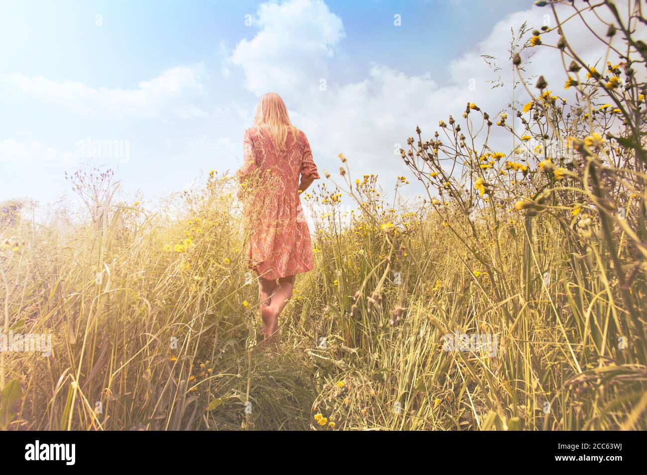 dreamy woman walking in nature towards the sun and the unknown infinite Stock Photo