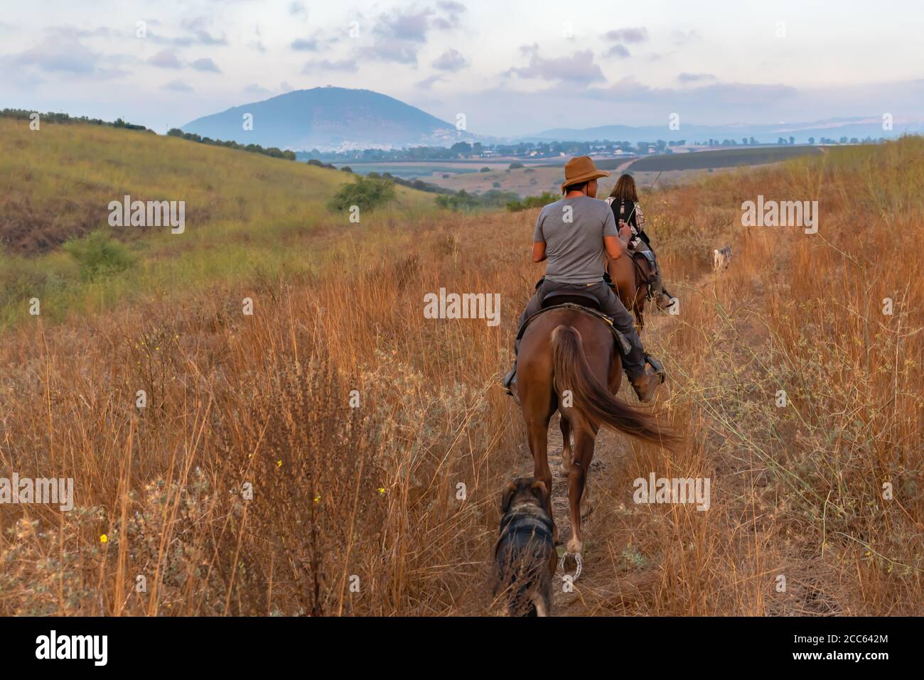 Horse back riding in the Jezreel Valley, Israel. Mount Tabor can be seen in the background Stock Photo