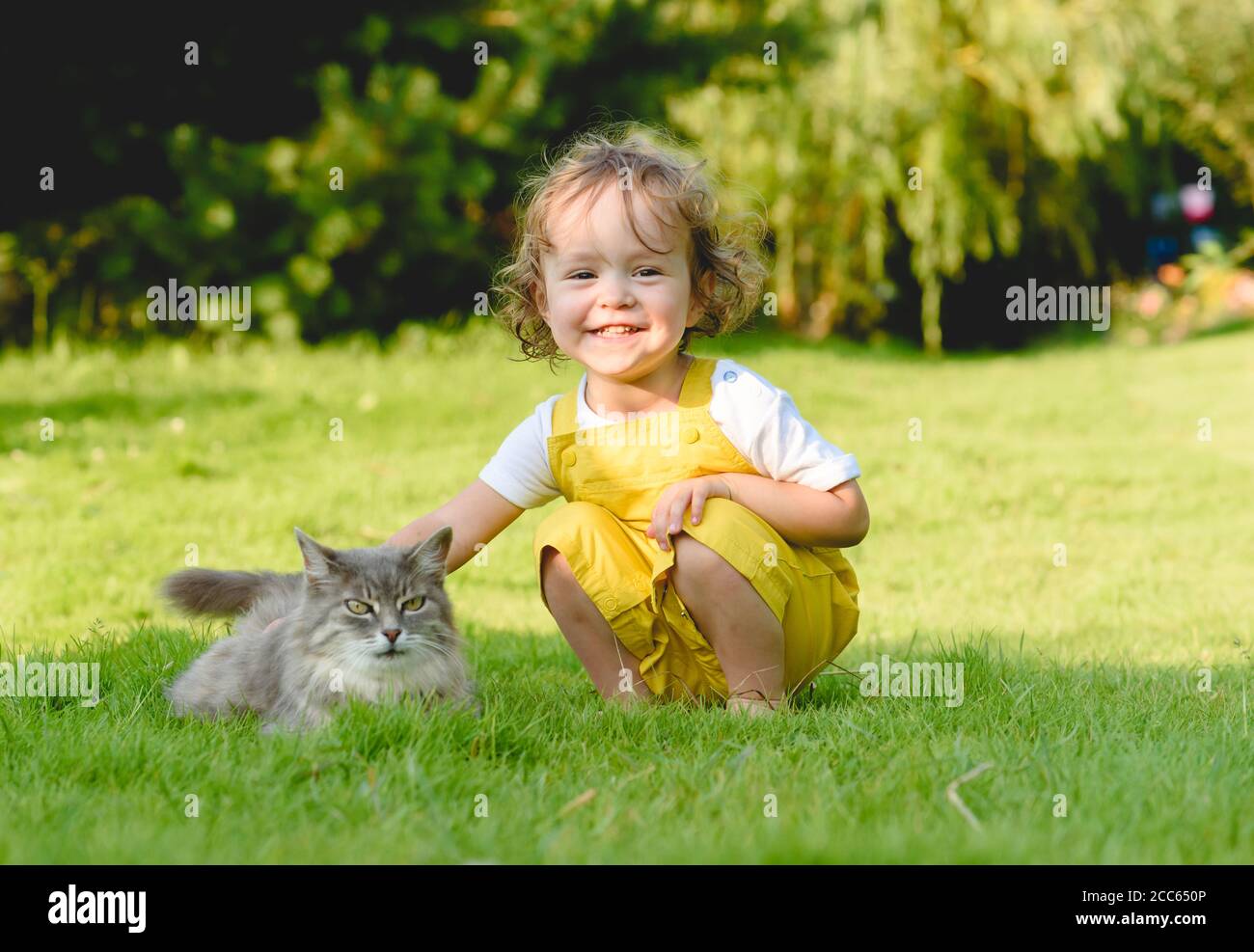 Little smiling girl patting her pet cat sitting on grass at backyard garden on sunny summer day Stock Photo