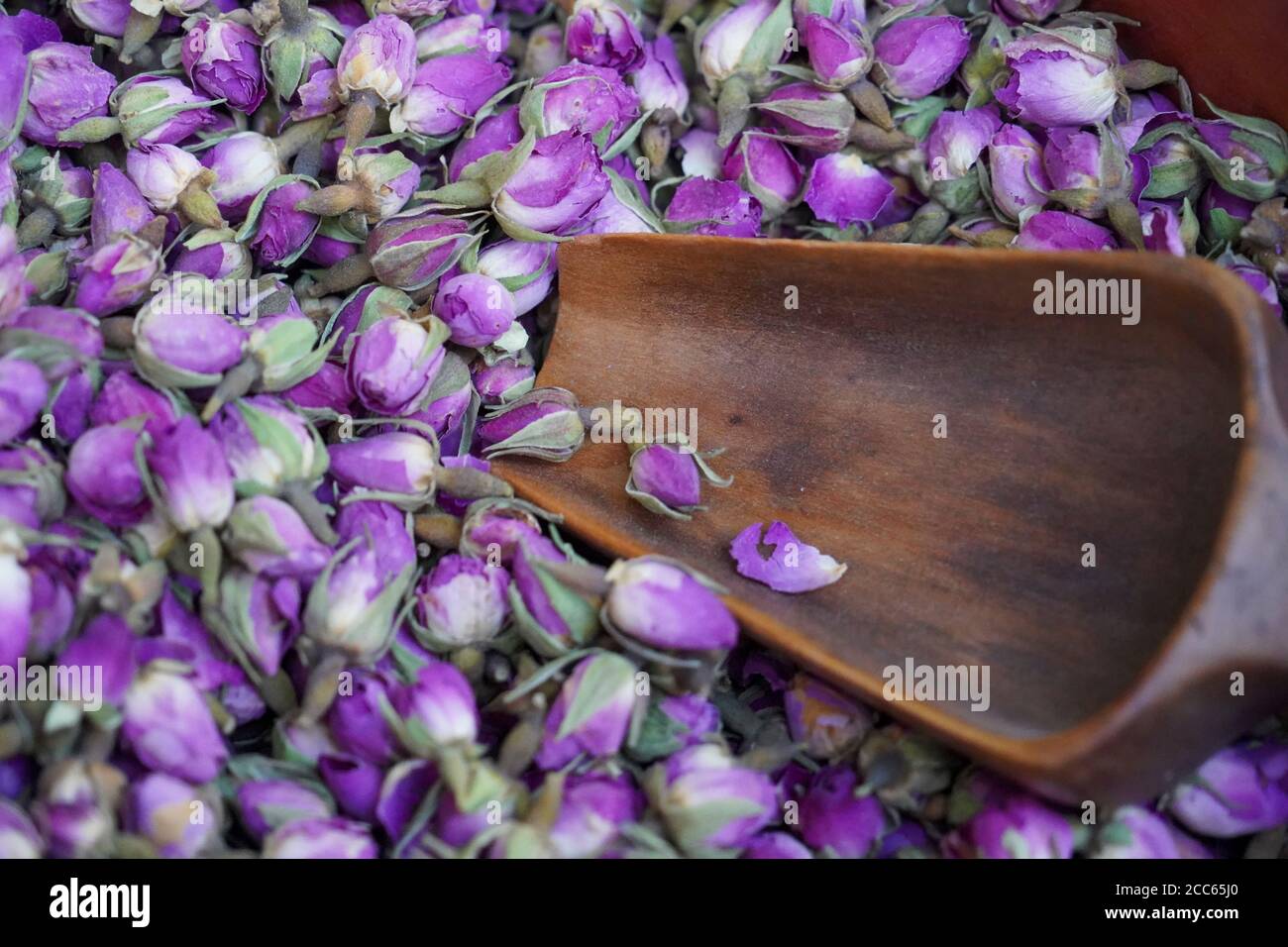 Rose buds used for teas, food flavouring and perfumes Stock Photo