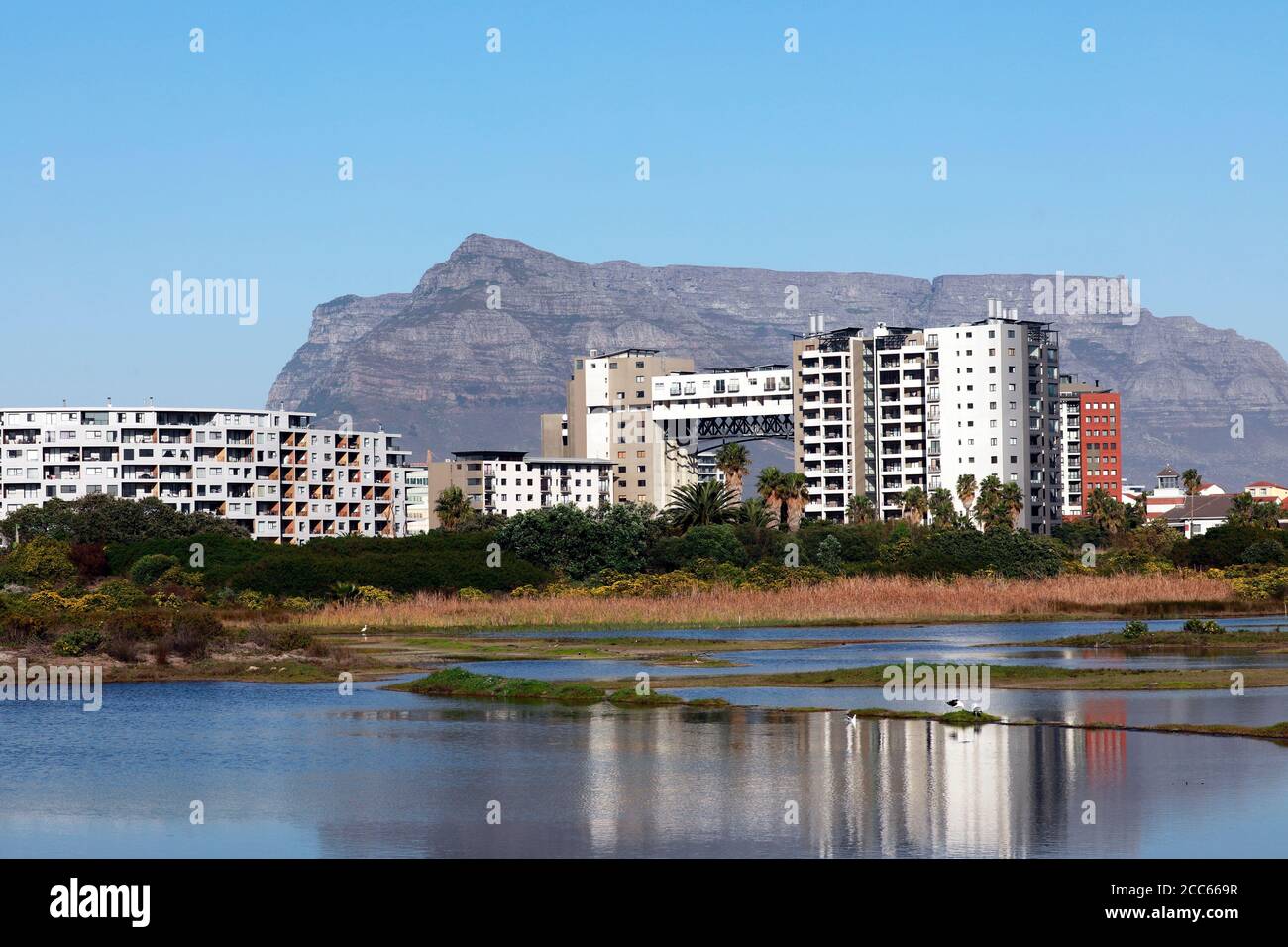 Buildings and apartment blocks in Century City as seen from Intaka Island, Cape Town, South