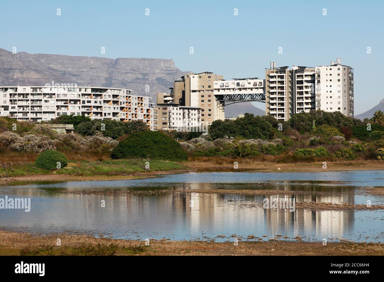 Buildings and apartment blocks in Century City as seen from Intaka Island, Cape Town, South