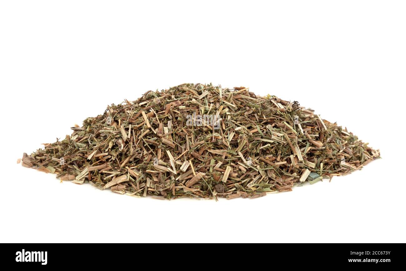 Ladies bedstraw herb leaf used in herbal medicine to treat epilepsy