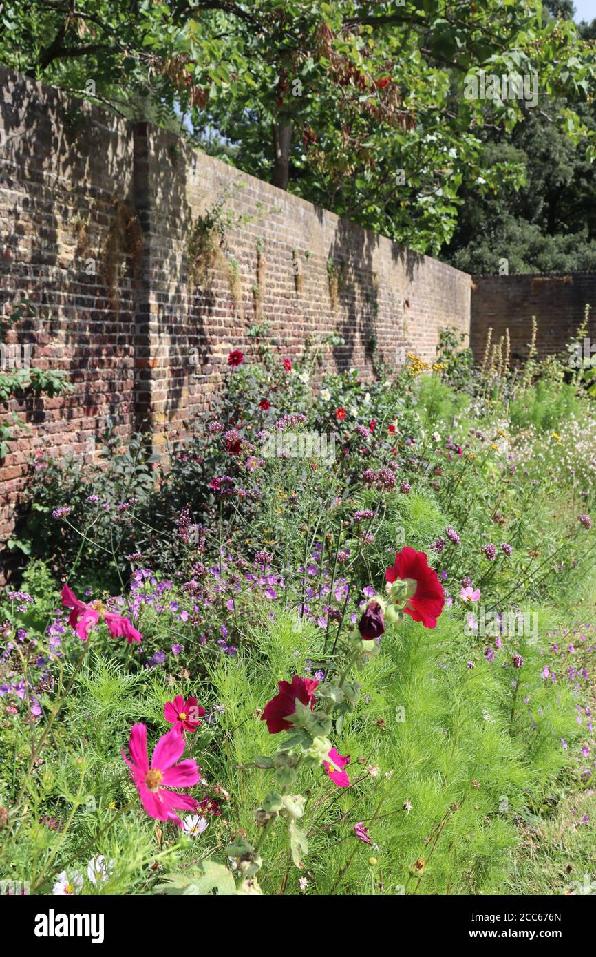 Fulham palace walled garden hi-res stock photography and images - Alamy