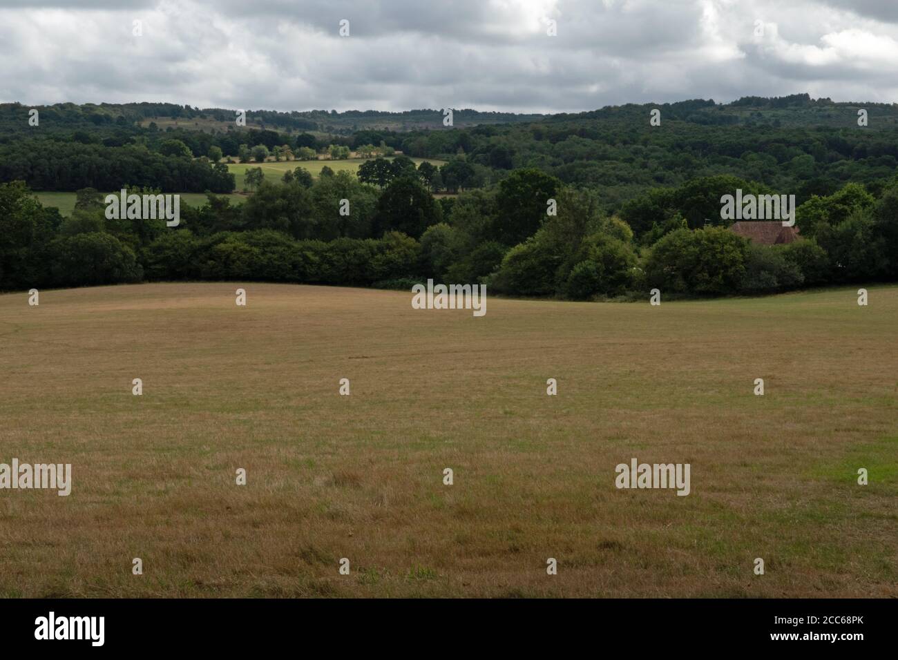 The setting for Winnie the Pooh, in the Ashdown Forest in East Sussex, England Stock Photo