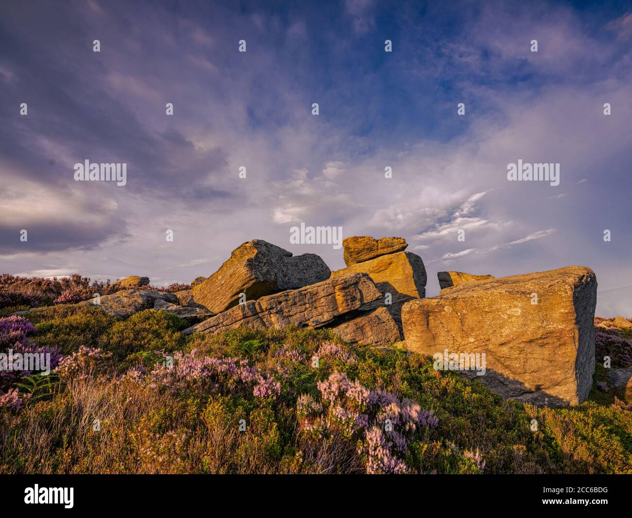 Peak District above Langset Res, evening sunset with the heather in full bloom Stock Photo