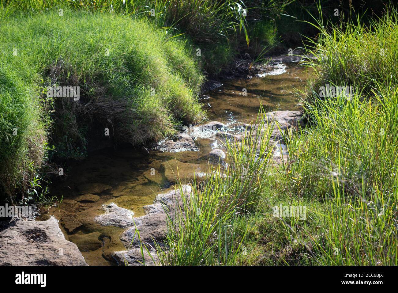 Rock green grass hi-res stock photography and images - Alamy