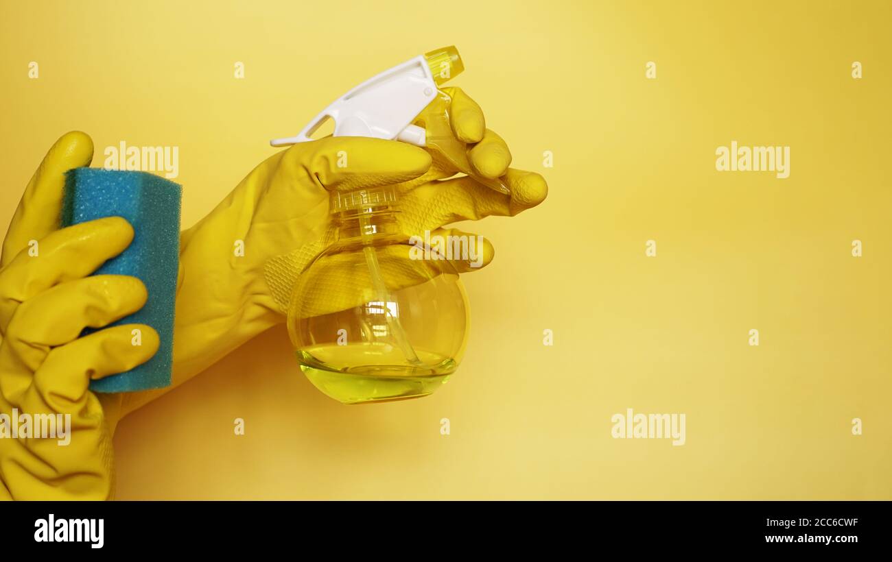 Hand in a rubber glove holds a cleaning sponge on a yellow background ...