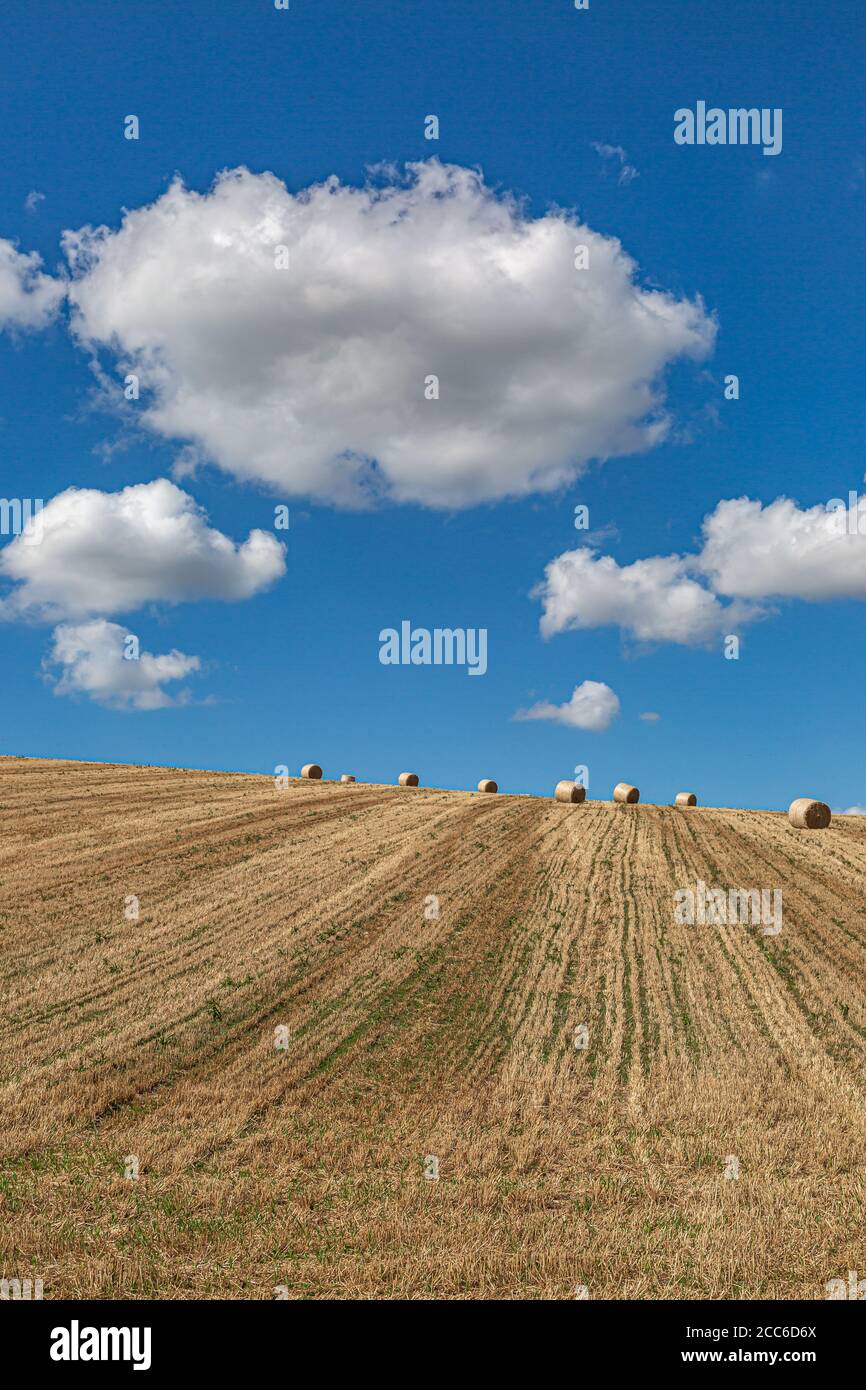 Hay bales in the Sussex countryside on a sunny late summers day Stock ...