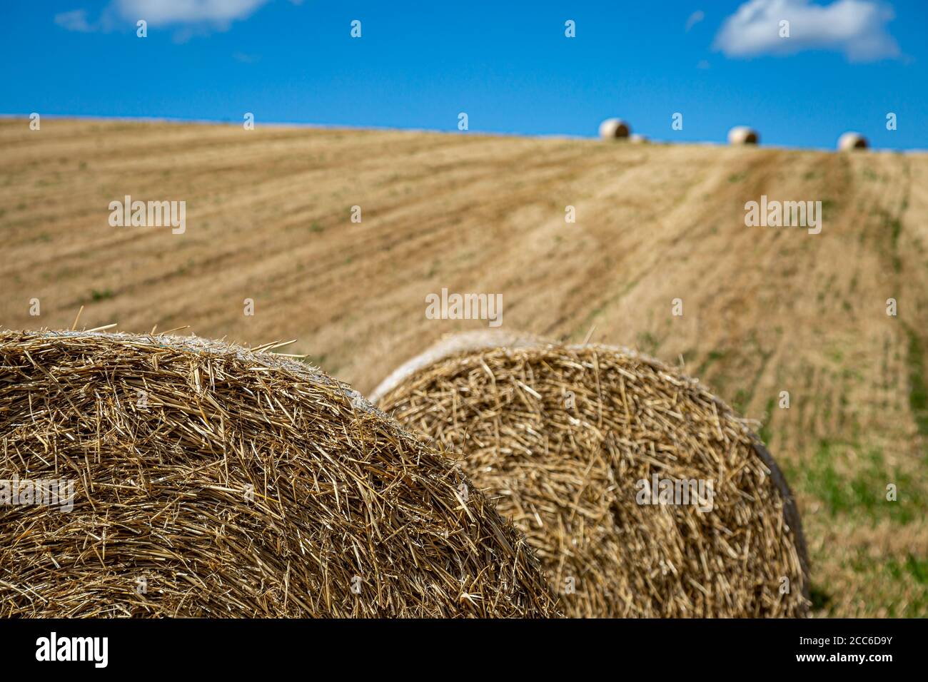Hay bales in the Sussex countryside on a sunny late summers day Stock ...