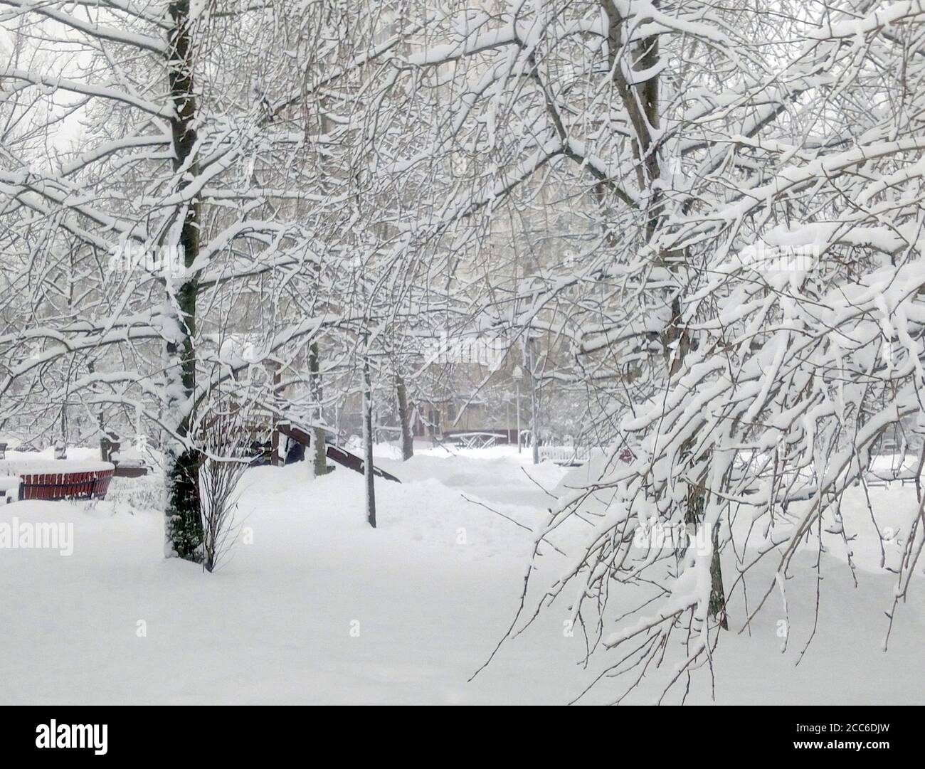city park after snowfall at day Stock Photo - Alamy