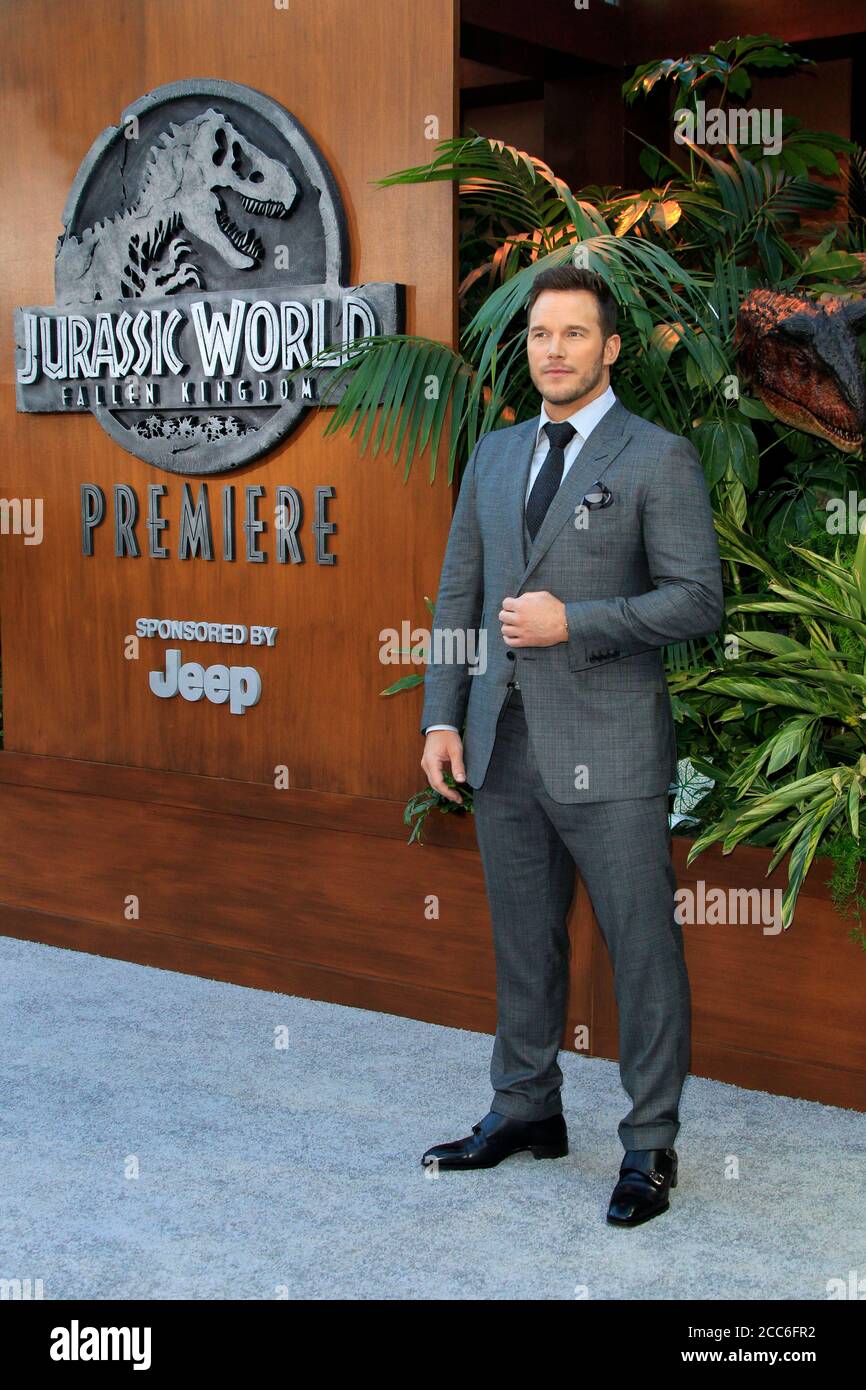 LOS ANGELES - JUN 12:  Chris Pratt at the Jurassic World: Fallen Kingdom Premiere at the Walt Disney Concert Hall on June 12, 2018 in Los Angeles, CA Stock Photo