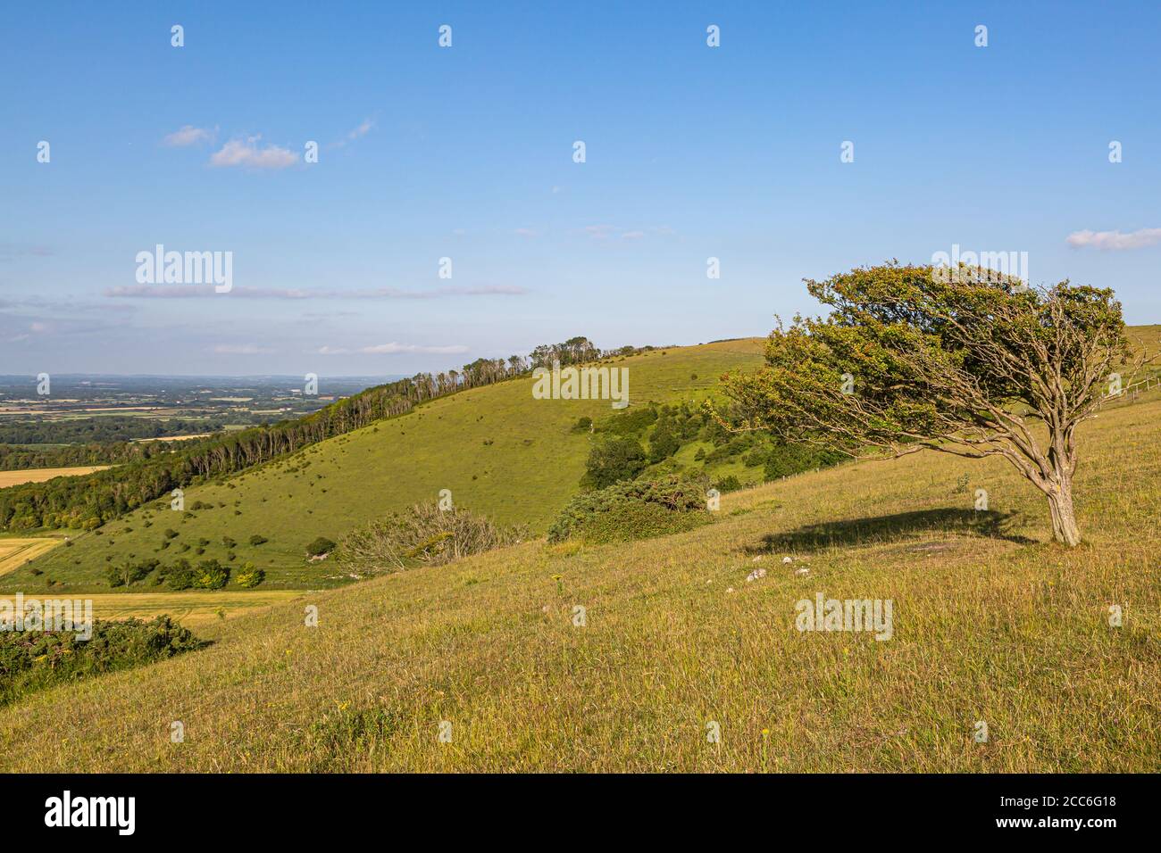 The view out over the South Downs from Firle Beacon, on a sunny summers evening Stock Photo