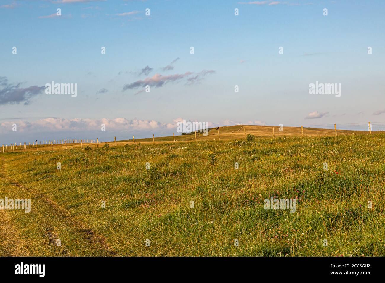 Along the South Downs Way at Firle Beacon in Sussex, on a sunny spring evening Stock Photo