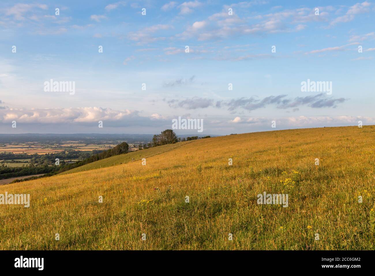 Looking out over a Sussex landscape from Firle Beacon Stock Photo